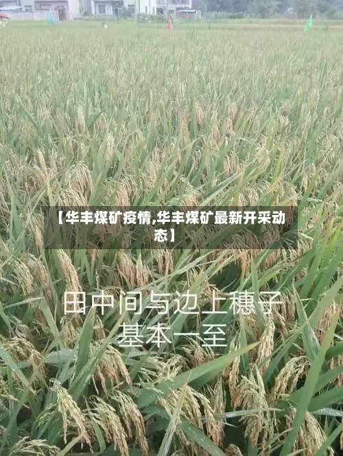 【华丰煤矿疫情,华丰煤矿最新开采动态】-第3张图片