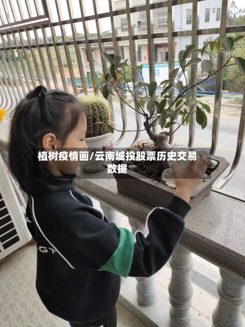 植树疫情画/云南城投股票历史交易数据-第3张图片