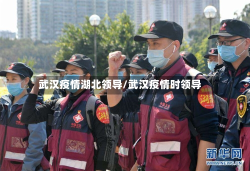 武汉疫情湖北领导/武汉疫情时领导-第3张图片