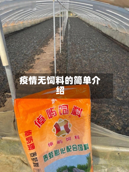 疫情无饲料的简单介绍-第3张图片