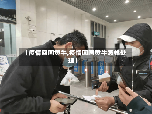 【疫情回国黄牛,疫情回国黄牛怎样处理】-第2张图片