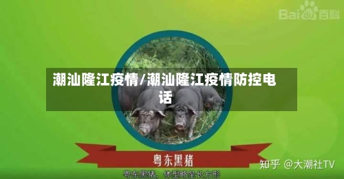 潮汕隆江疫情/潮汕隆江疫情防控电话