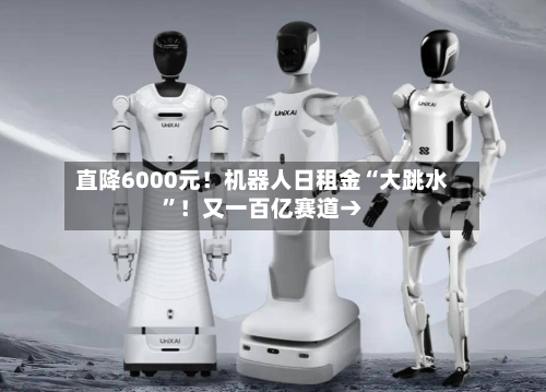 直降6000元！机器人日租金“大跳水”！又一百亿赛道→-第2张图片