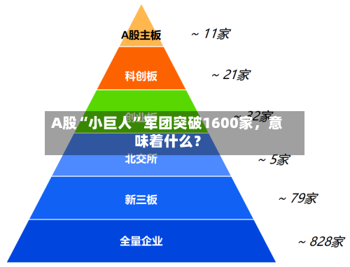 A股“小巨人”军团突破1600家，意味着什么？-第3张图片