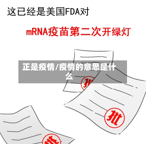 正是疫情/疫情的意思是什么