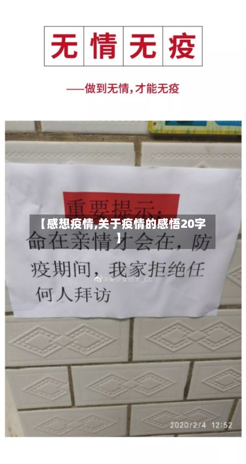 【感想疫情,关于疫情的感悟20字】