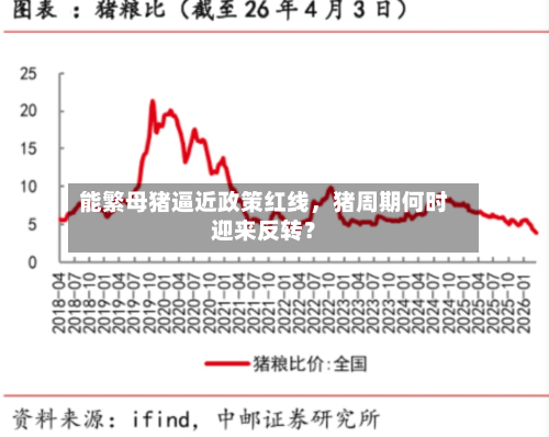 能繁母猪逼近政策红线，猪周期何时迎来反转？-第3张图片