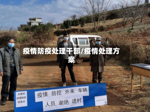 疫情防疫处理干部/疫情处理方案