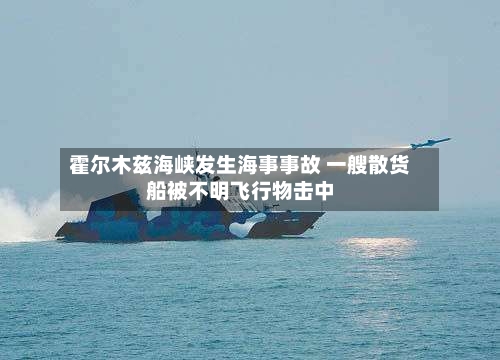 霍尔木兹海峡发生海事事故 一艘散货船被不明飞行物击中