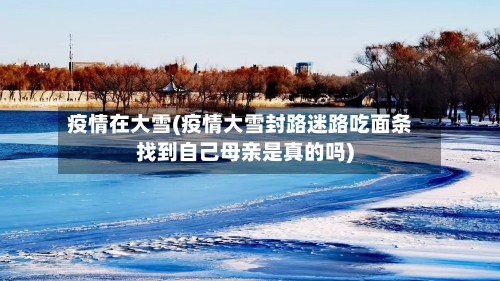 疫情在大雪(疫情大雪封路迷路吃面条找到自己母亲是真的吗)