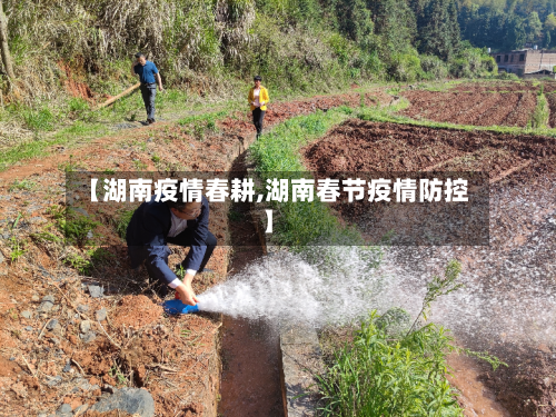 【湖南疫情春耕,湖南春节疫情防控】-第3张图片