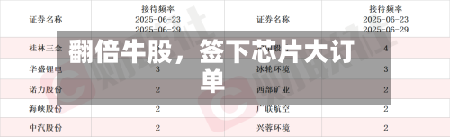 翻倍牛股，签下芯片大订单