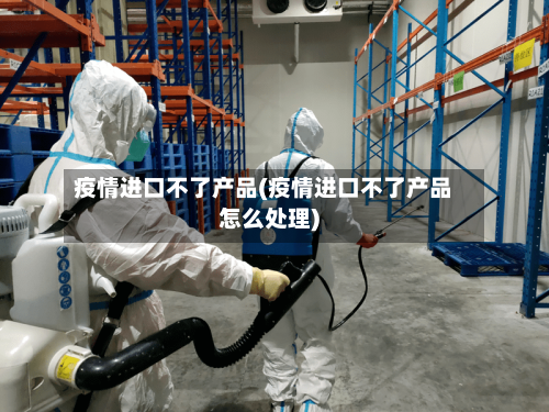 疫情进口不了产品(疫情进口不了产品怎么处理)-第2张图片