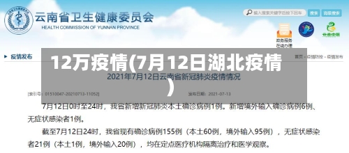 12万疫情(7月12日湖北疫情)