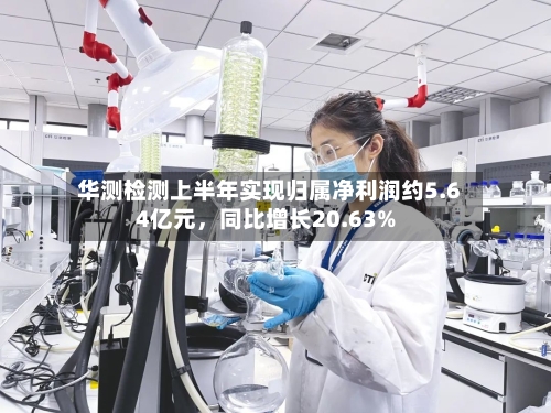 华测检测上半年实现归属净利润约5.64亿元，同比增长20.63%-第2张图片