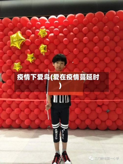 疫情下爱鸟(爱在疫情蔓延时)