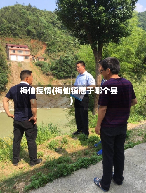 梅仙疫情(梅仙镇属于哪个县)