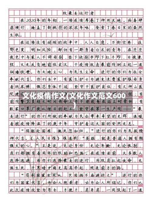 文化疫情作文(文化作文范文600)