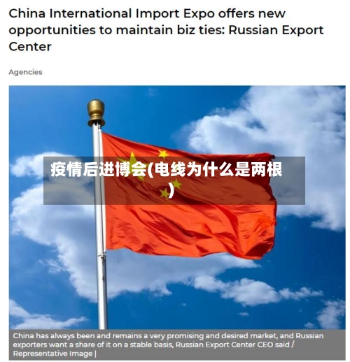 疫情后进博会(电线为什么是两根)-第2张图片