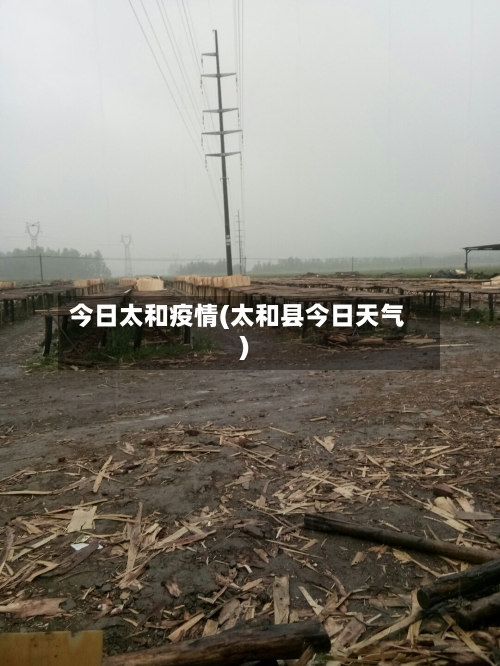 今日太和疫情(太和县今日天气)-第3张图片