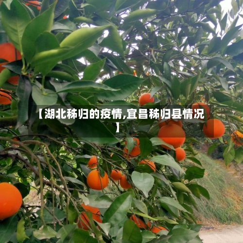 【湖北秭归的疫情,宜昌秭归县情况】