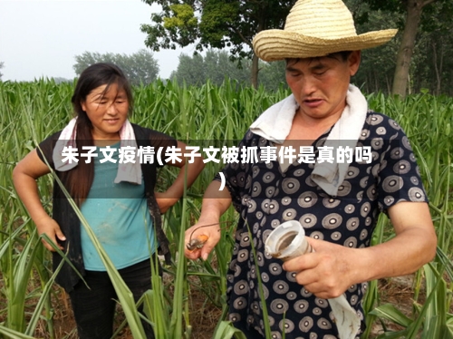 朱子文疫情(朱子文被抓事件是真的吗)-第3张图片