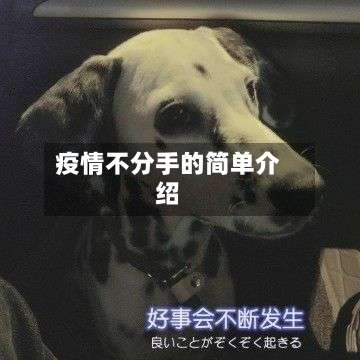 疫情不分手的简单介绍