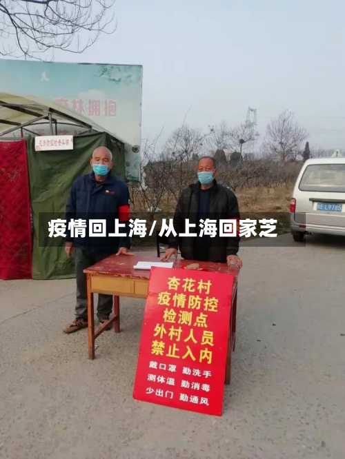 疫情回上海/从上海回家芝