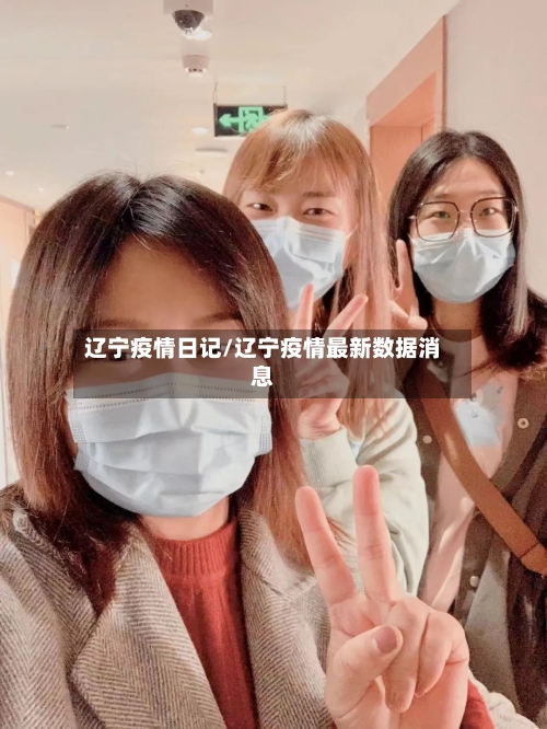 辽宁疫情日记/辽宁疫情最新数据消息-第2张图片
