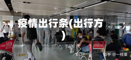 疫情出行条(出行方)