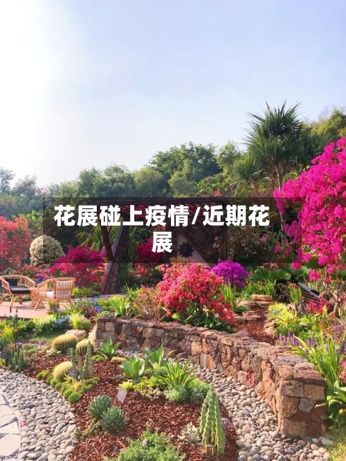 花展碰上疫情/近期花展
