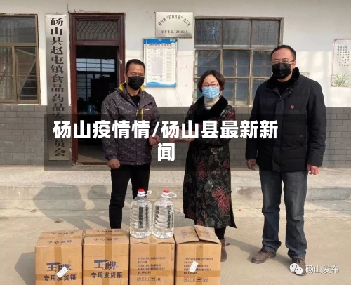 砀山疫情情/砀山县最新新闻-第3张图片