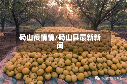 砀山疫情情/砀山县最新新闻