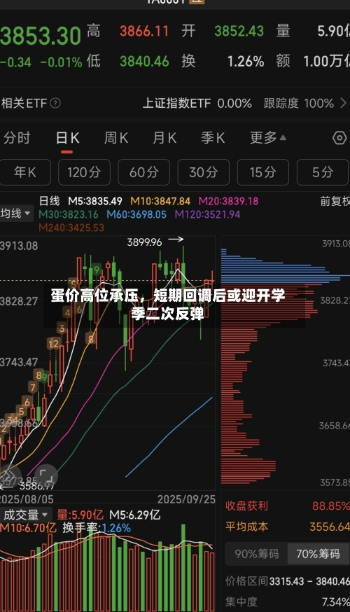蛋价高位承压，短期回调后或迎开学季二次反弹-第2张图片