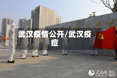 武汉疫情公开/武汉疫症