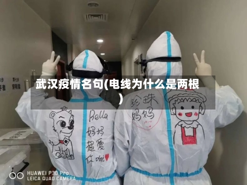 武汉疫情名句(电线为什么是两根)