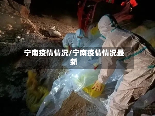 宁南疫情情况/宁南疫情情况最新-第2张图片