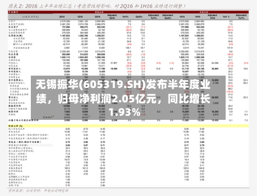 无锡振华(605319.SH)发布半年度业绩，归母净利润2.05亿元	，同比增长1.93%-第2张图片