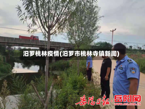 汨罗桃林疫情(汨罗市桃林寺镇新闻)