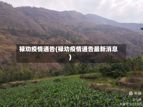 禄劝疫情通告(禄劝疫情通告最新消息)-第2张图片