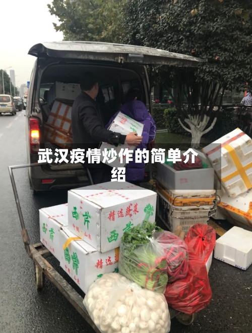 武汉疫情炒作的简单介绍
