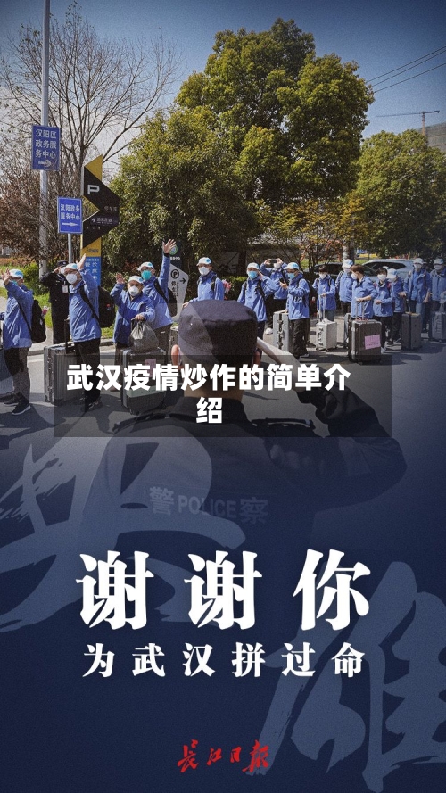 武汉疫情炒作的简单介绍-第2张图片