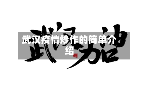 武汉疫情炒作的简单介绍-第3张图片