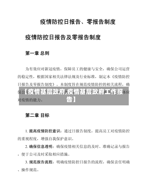 【疫情基层政府,疫情基层政府工作报告】-第2张图片