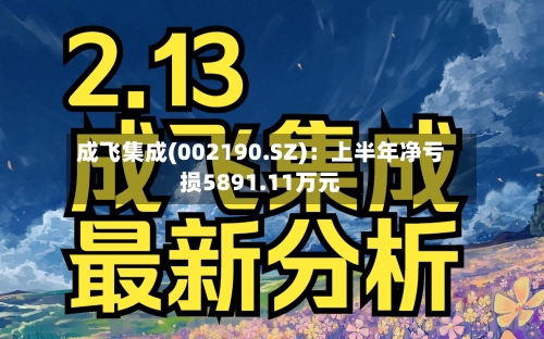 成飞集成(002190.SZ):上半年净亏损5891.11万元-第2张图片