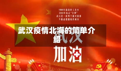 武汉疫情北海的简单介绍