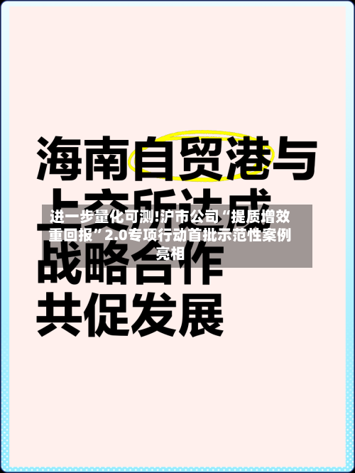进一步量化可测!沪市公司“提质增效重回报”2.0专项行动首批示范性案例亮相-第2张图片