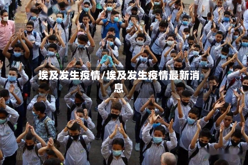 埃及发生疫情/埃及发生疫情最新消息-第3张图片