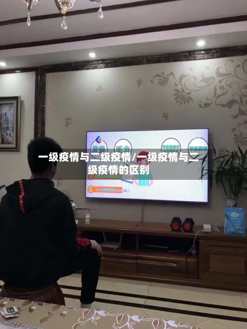 一级疫情与二级疫情/一级疫情与二级疫情的区别-第3张图片