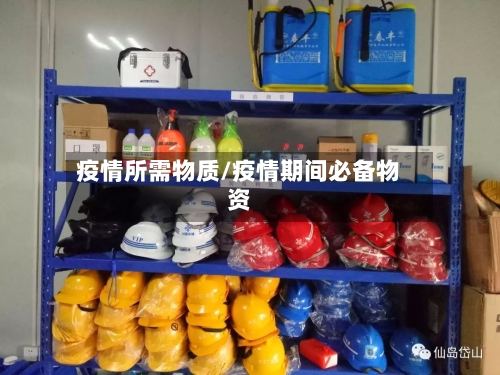 疫情所需物质/疫情期间必备物资